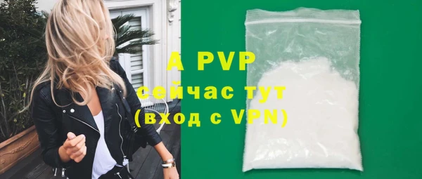 PSILOCYBIN Богородск