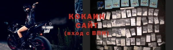 стафф Касимов