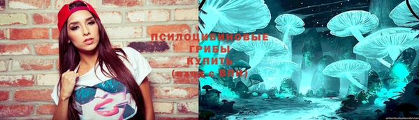 спиды Няндома