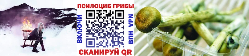 это Telegram  Олёкминск  Псилоцибиновые грибы Psilocybine cubensis  купить наркоту 