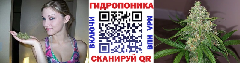 Бошки Шишки гибрид  купить закладку  Олёкминск 